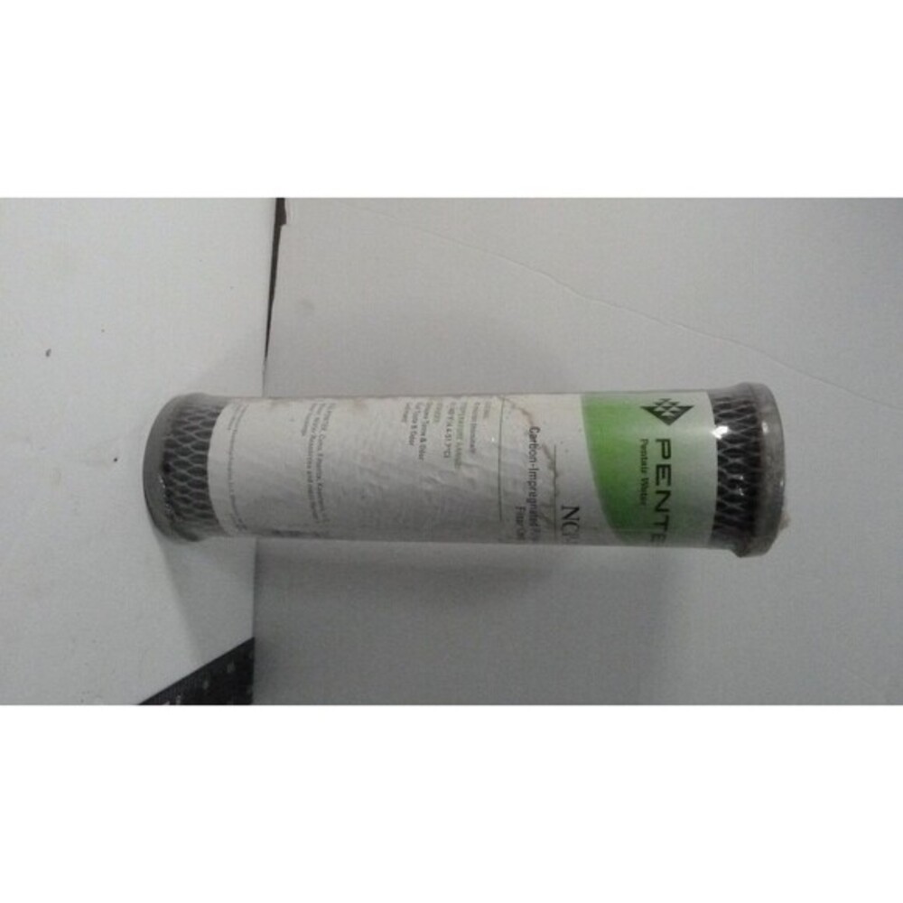 Pentair Carbon Filter Cartridge Contemporary Water Filter Replacement Element